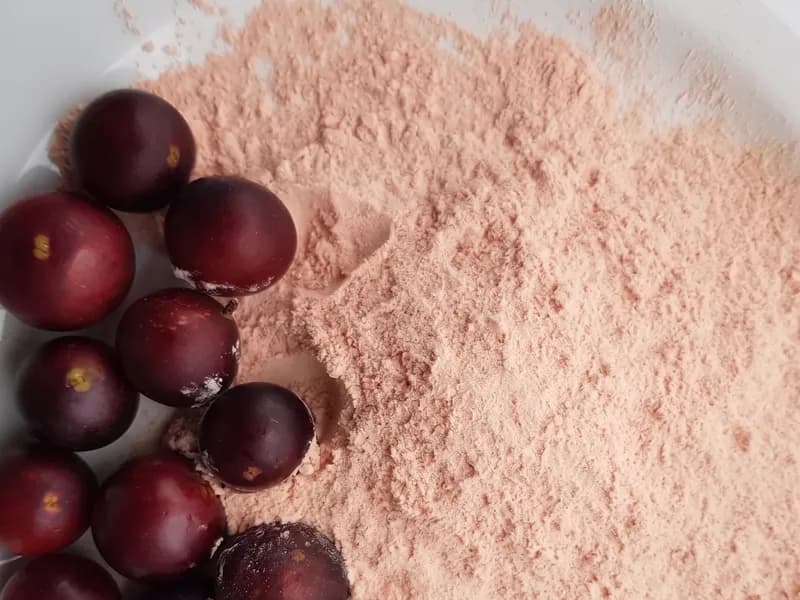 Camu-camu em Pó